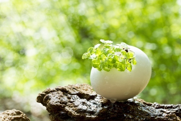 ステップアップを重ねて夢に届く画数！「名前」だけで性格がわかる姓名判断