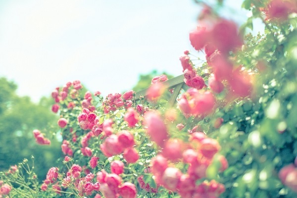 エレメント占星術でみる！風（双子・天秤・水瓶）の相性の手引き　恋人編