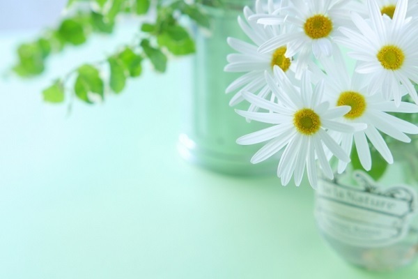 【夢占い】吉凶を占う！感情にまつわる夢4つ