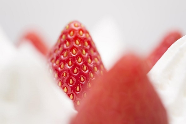 ユング心理学×西洋占星術でわかるあなたの弱点と強化策　射手座編8タイプ