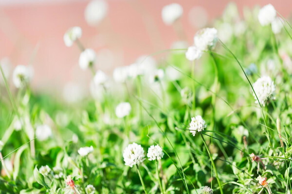 ユング心理学×西洋占星術でわかる「あなたと牡羊座の相性」