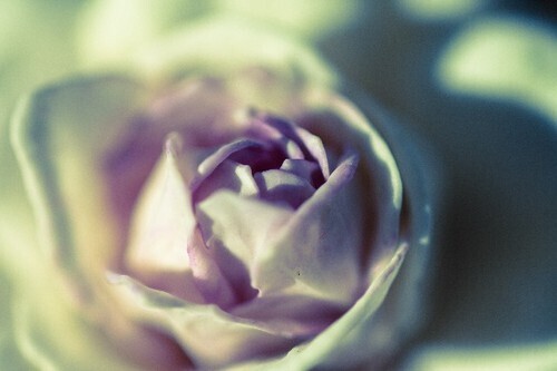 なぜか上手くいかない女子に教える、愛欲の星座占い（7/15-7/21）