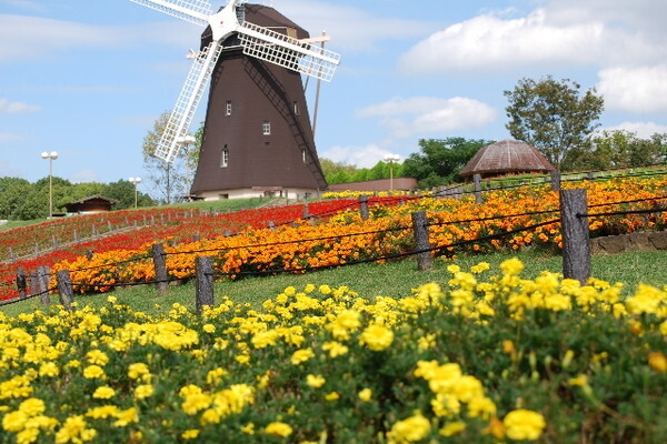 日本にいながらオランダ旅行気分！長崎ハウステンボスの楽しみ方