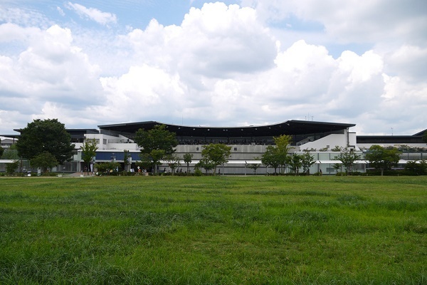 そうだ、京都行こう。京都の夏デートスポット「京都水族館」
