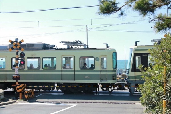 海水浴だけ・・・を打ち破る！由比ヶ浜でデートを楽しみたいならぜひここへ！