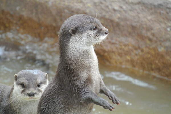 新しい展示と演出が続々！八景島シーパラダイスから目が離せない！