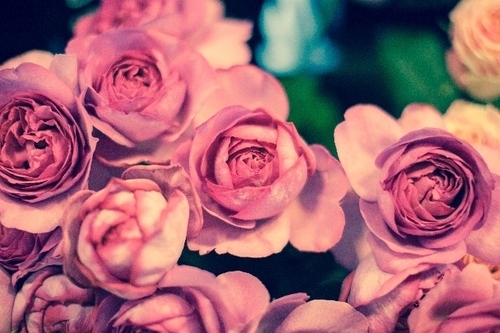 なぜか上手くいかない女子に教える、愛欲の星座占い（9/2-9/8）