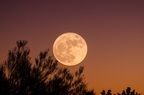 月の満ち欠けで願いを叶える　12月3日のムーン・メッセージ