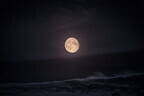 月の満ち欠けで願いを叶える　12月8日のムーン・メッセージ