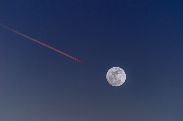 男性を手なづけるしなやかなパワーを手に入れる　12月19日のムーン・メッセージ