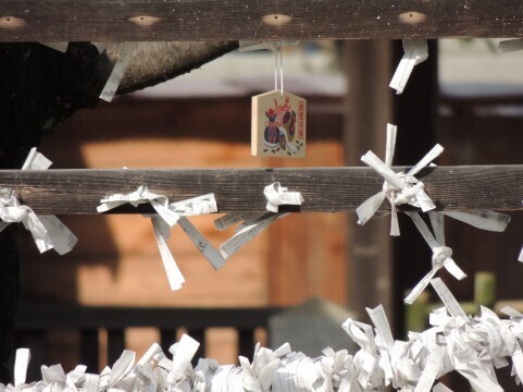 凶が出ても挽回可能！「おみくじの結び方」で開運する方法