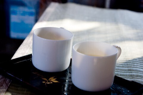 お花見の季節にぴったり！「飲む点滴」甘酒の美容効果・５つ