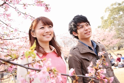 カップルで行きたい！満開のお花見が楽しめる大学キャンパス・ベスト５