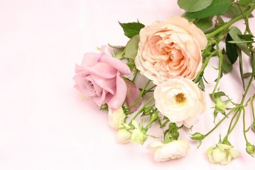 【夢占い】花にまつわる不思議な夢・4つ