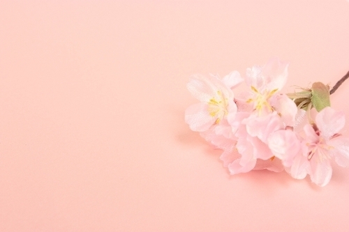 「恋愛最強ラッキー風水占い」4月1日～4月15日