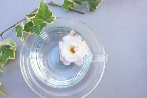 なんだか体が不調なときに試したい「朝・昼・夜の時間帯別アロマ」