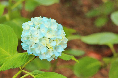 じめじめ天気で体も不調！？梅雨時期のイライラ＆むくみを防ぐコツ