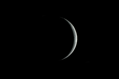 脇田尚揮の「ツキ占い」 7月27日～8月3日