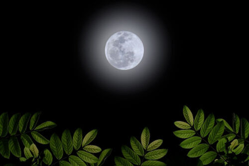 【七曜星風水】癒し＆悩み解消には「月のパワー」を使おう