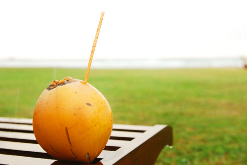 海外セレブ御用達「ココナッツオイル」でキレイになる方法