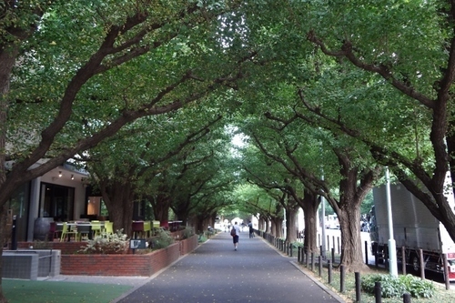 表参道ではじめる「オーガニックラン」の楽しみ方