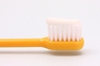 美しい口元に！歯科医が教える「歯磨き粉を選ぶポイント」とは？