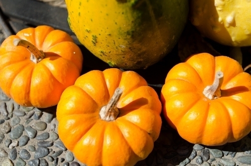 ハロウィンといえばコレ！「かぼちゃ」の女性に嬉しい効能・６つ