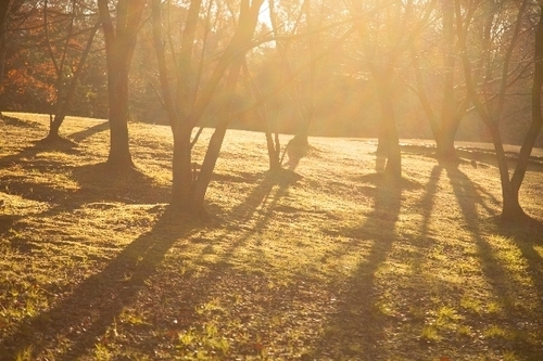 今年の冬、出会いを引き寄せるラッキープレイス