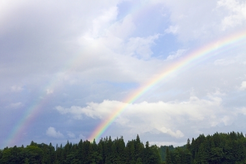「恋愛最強ラッキー風水占い」11月1日～11月15日