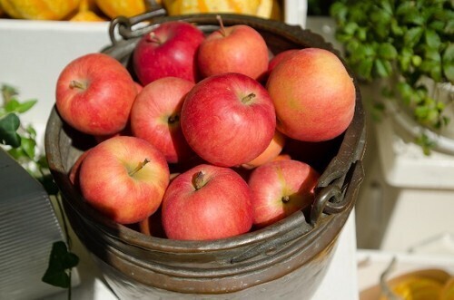 【恋する心理テスト】行きたい味覚狩りでわかる、あなたの運命の彼