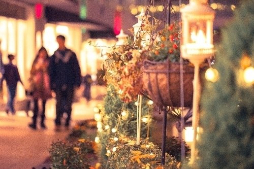 「恋愛最強ラッキー風水占い」12月16日～12月31日