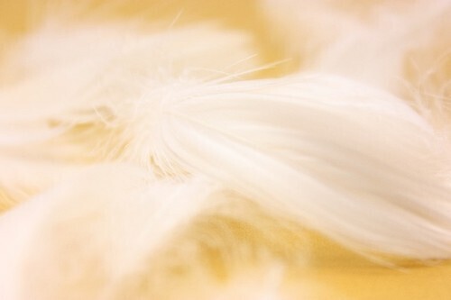 2015年最強開運のための風水九星占い＜八白土星＞