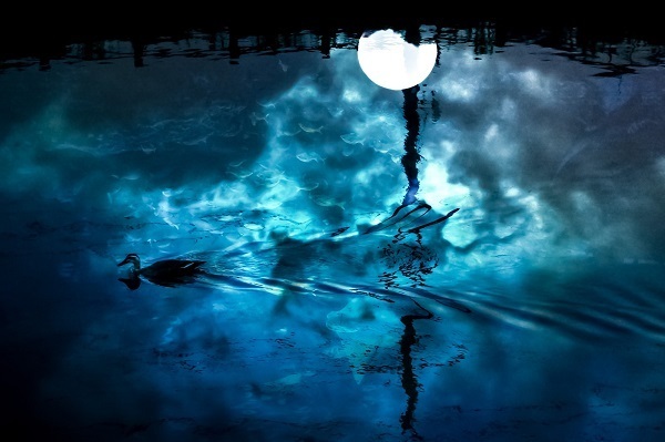 恋を楽しむ余裕を与えてくれる　12月31日のムーン・メッセージ