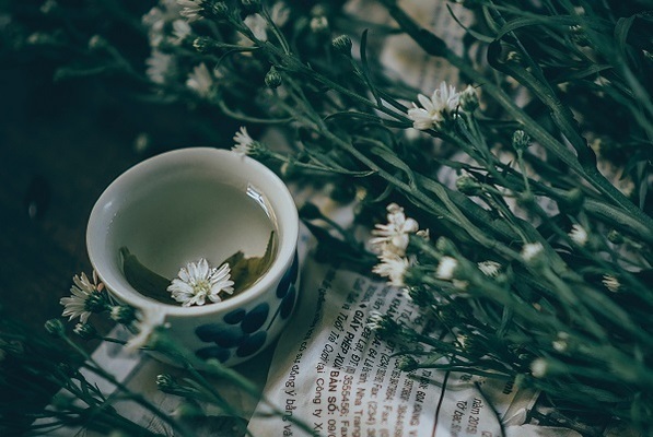 【小説】片羽の恋人／恋愛部長