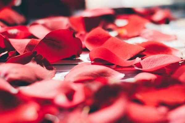 【小説】ひと夏の恋、永遠の恋。／恋愛部長