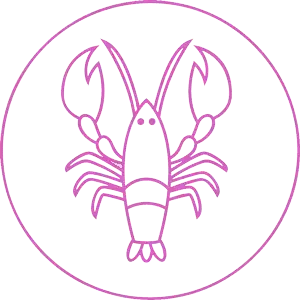 ７/２１（日）今日のあなたの運勢は？？