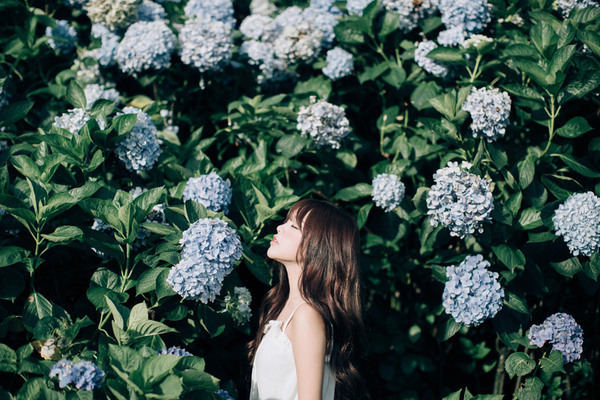 ８/２（金）今日のあなたの運勢は？？