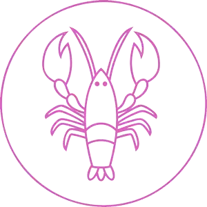 ８/１７（水）今日のあなたの運勢は？？