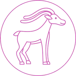 ８/１７（水）今日のあなたの運勢は？？