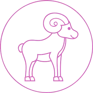 ８/１７（水）今日のあなたの運勢は？？