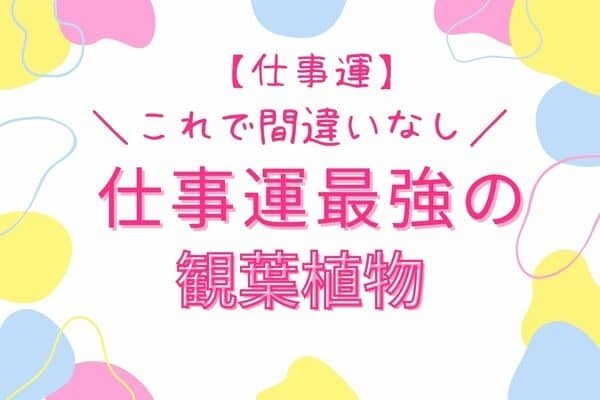 【仕事運】これで間違いなし！仕事運最強の「観葉植物」＜第６位〜第４位＞