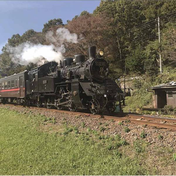 栃木県の子連れで行きたい、お出かけスポット 都内からも日帰りOK！