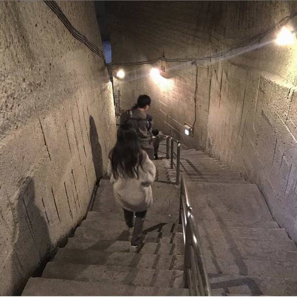 栃木県の子連れで行きたい、お出かけスポット 都内からも日帰りOK！