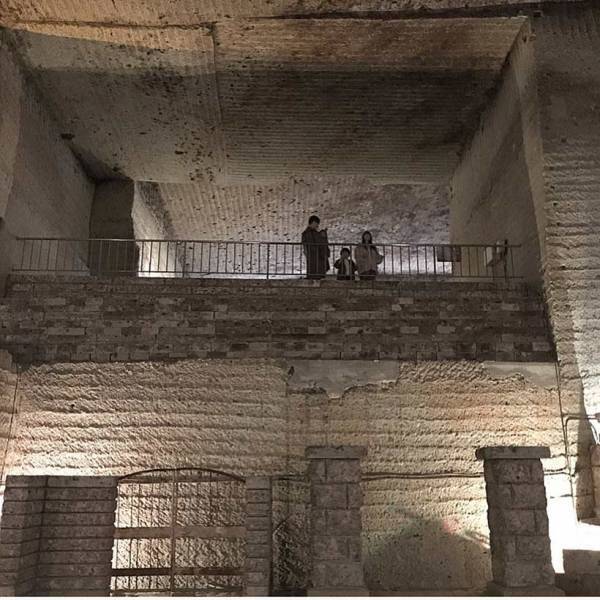 栃木県の子連れで行きたい、お出かけスポット 都内からも日帰りOK！