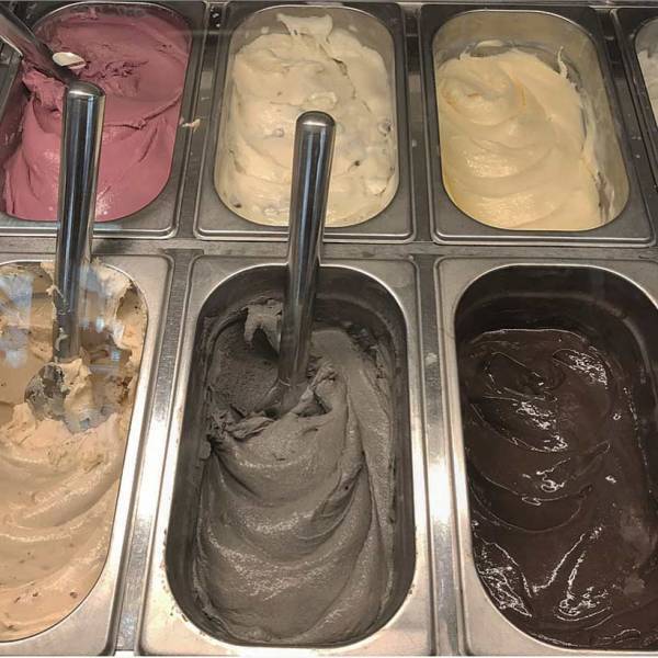 栃木県の子連れで行きたい、お出かけスポット 都内からも日帰りOK！