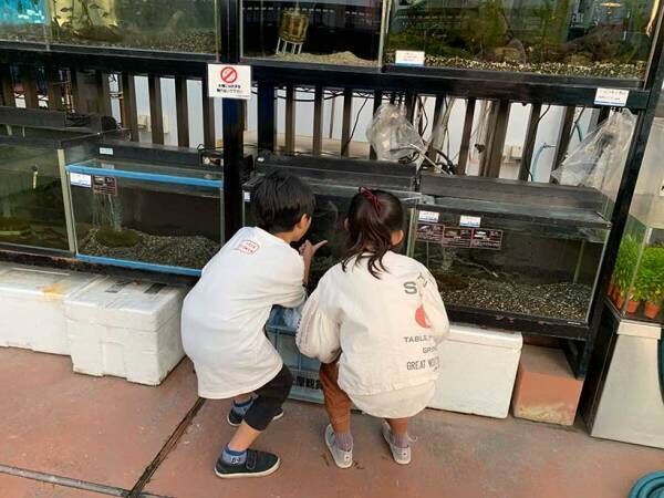 東京都内 親子で行きたいデパート＆ショッピングモールの「屋上庭園」