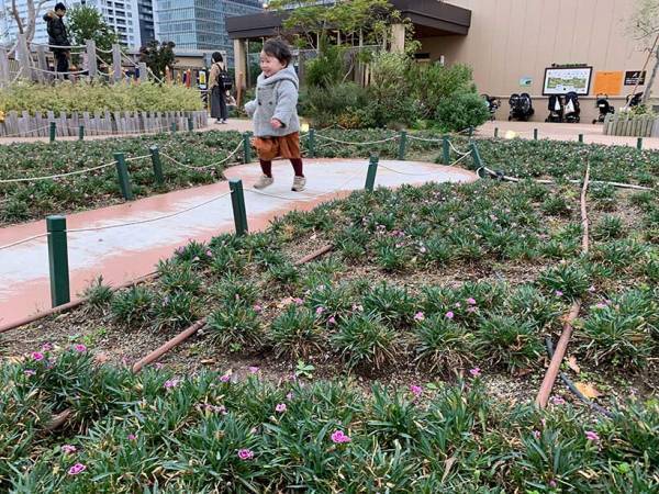 東京都内 親子で行きたいデパート＆ショッピングモールの「屋上庭園」