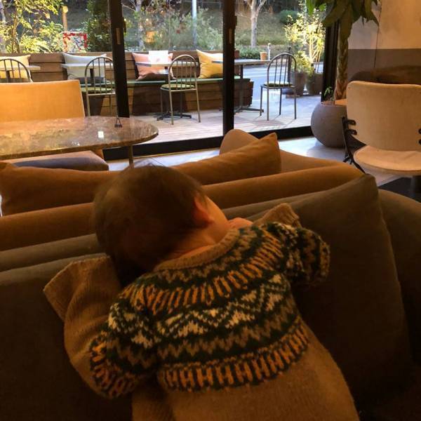 東京でチーズケーキがおいしい 子連れにやさしいカフェ 4選