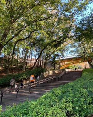 アクティブなファミリーにおすすめ！ 子連れで行きたい「アクティブスポット」3選