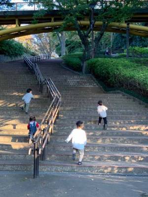 アクティブなファミリーにおすすめ！ 子連れで行きたい「アクティブスポット」3選